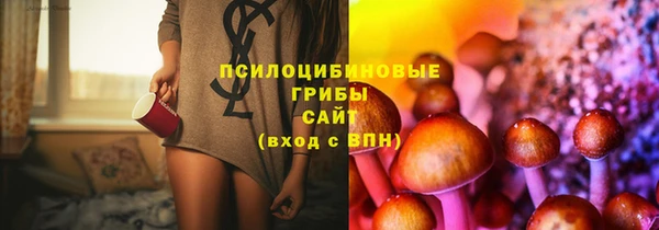 ПСИЛОЦИБИНОВЫЕ ГРИБЫ Белокуриха