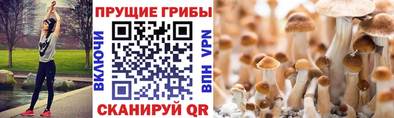 Псилоцибиновые грибы MAGIC MUSHROOMS Краснозаводск